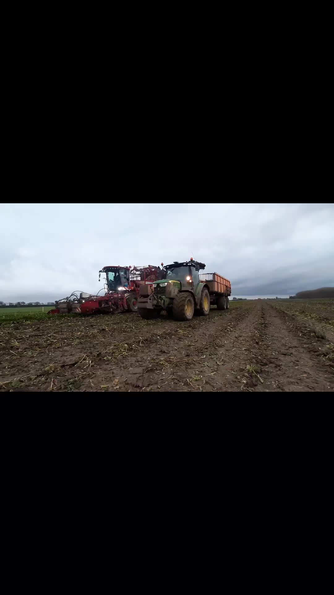 @Krijn in 't Veld