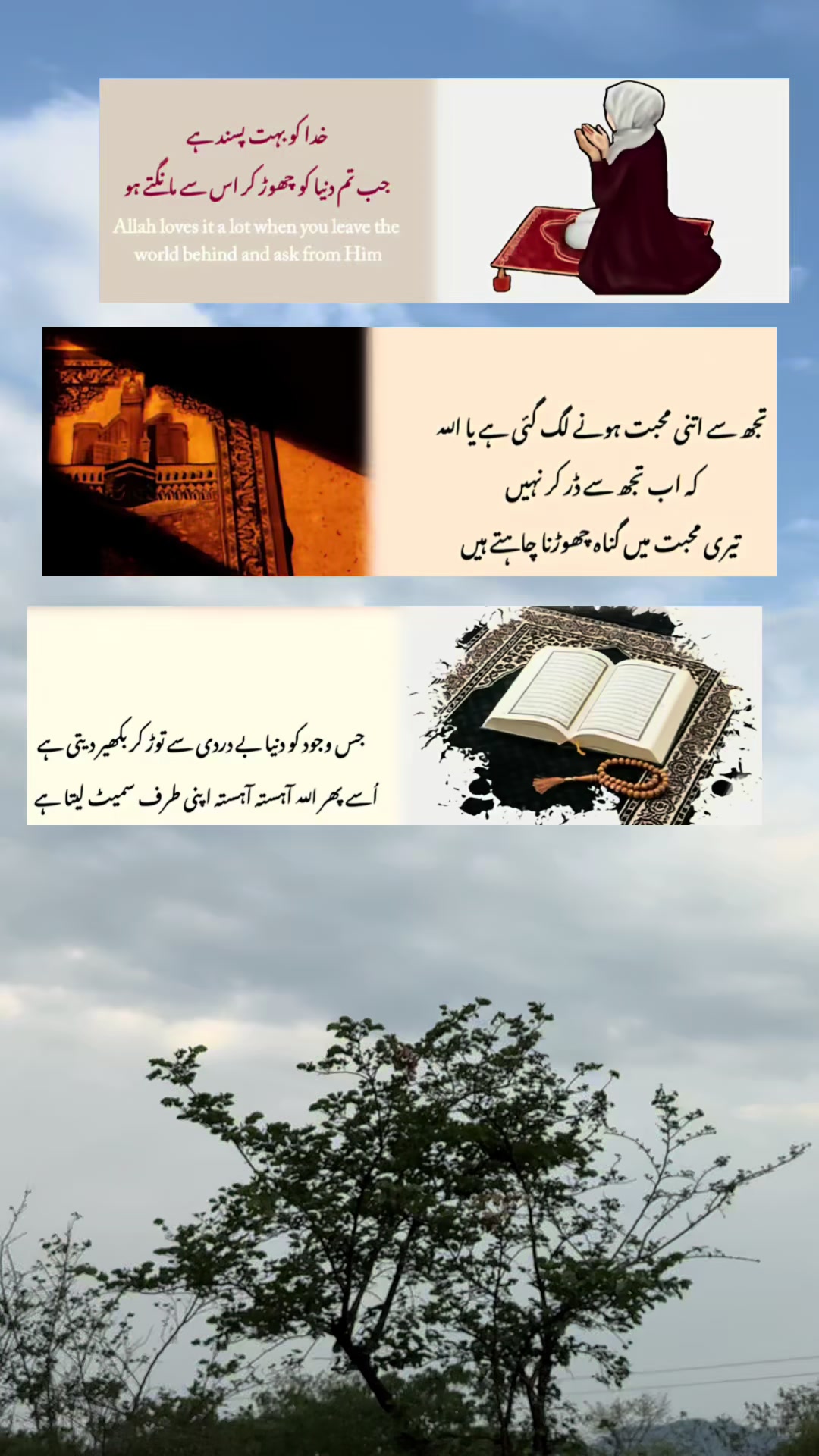 @ayeshazaib_777