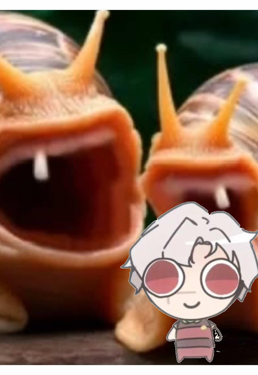 @Sabrina🪽