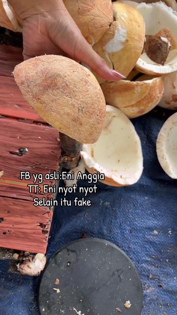 @Eni nyot nyot