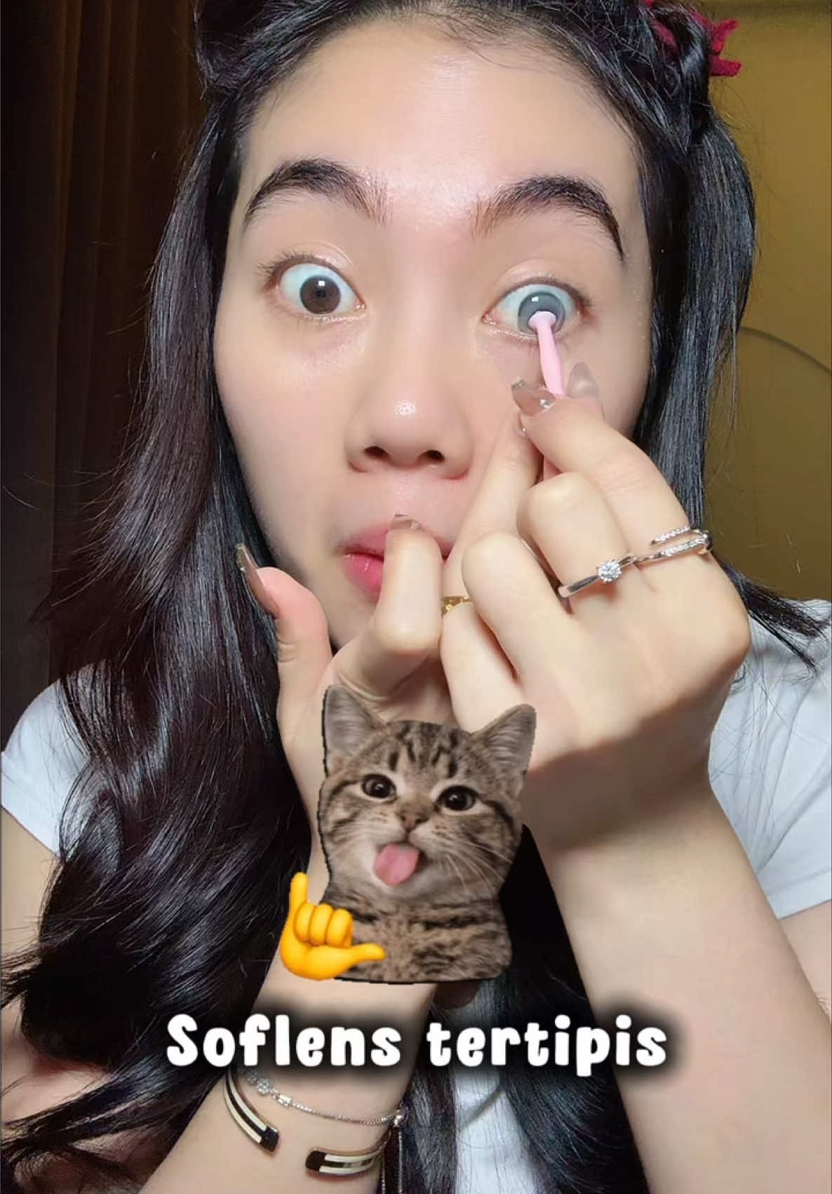 @AGNESSTANIA