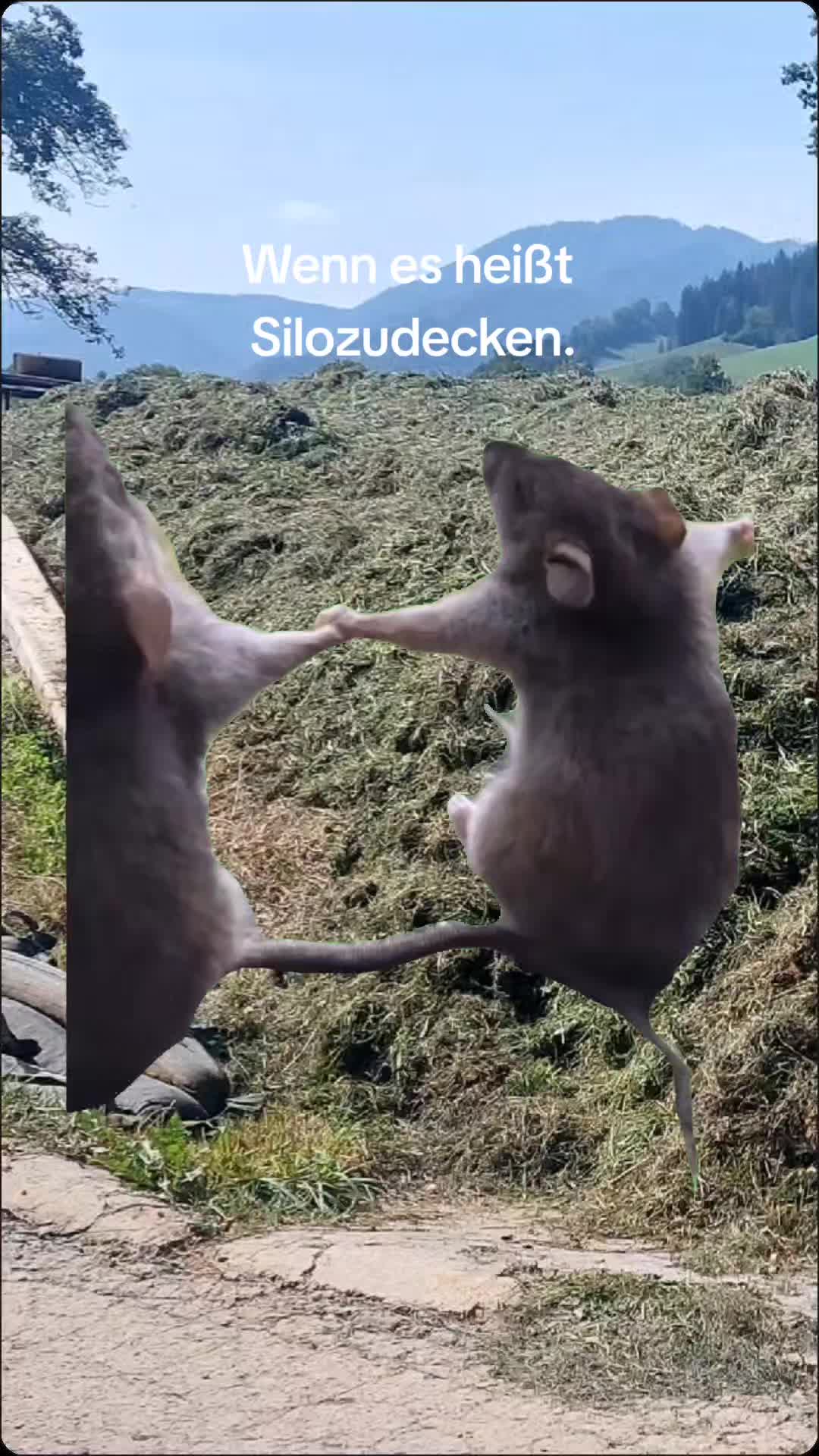 @landwirt_manuel