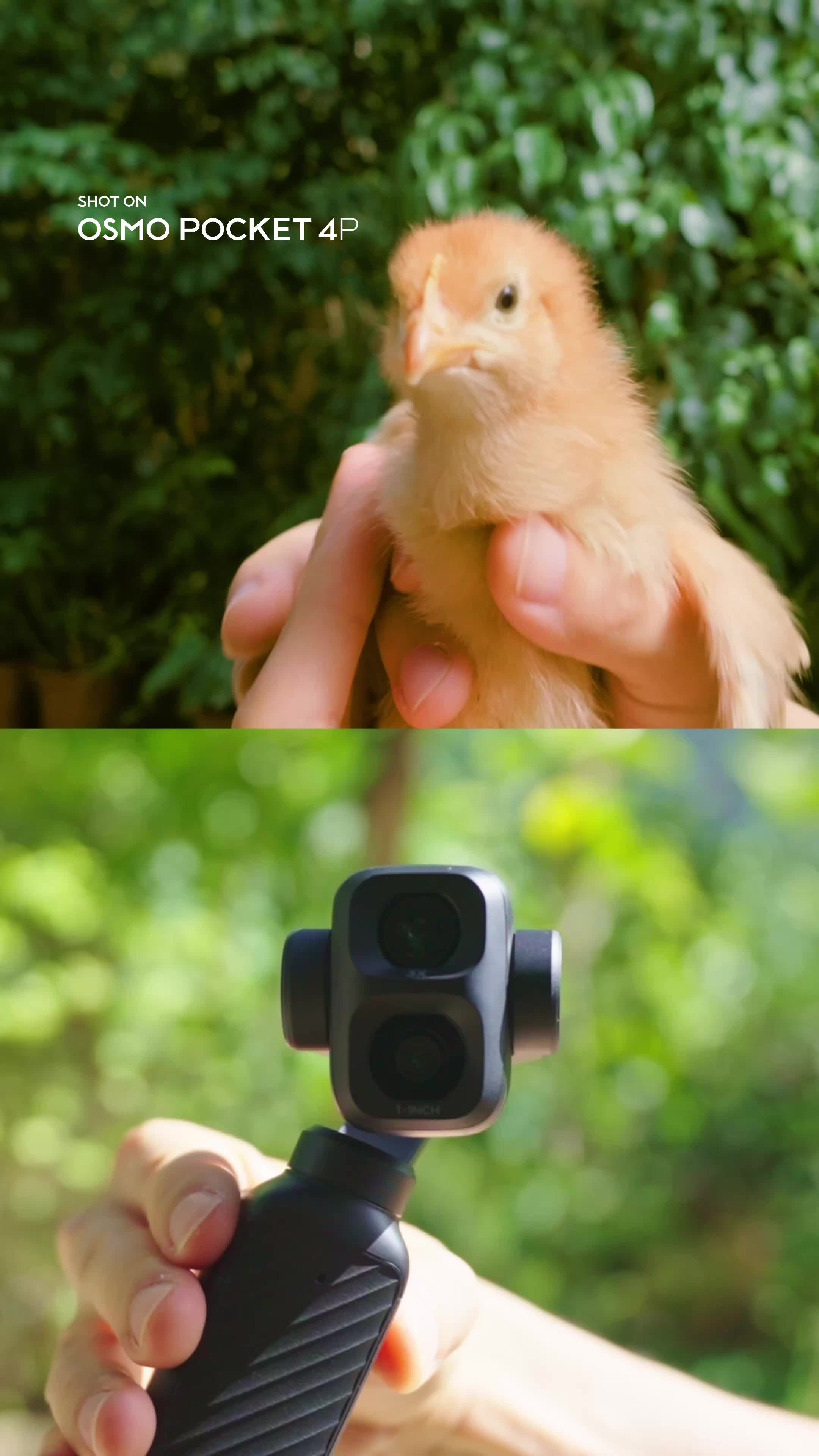 @DJI Official