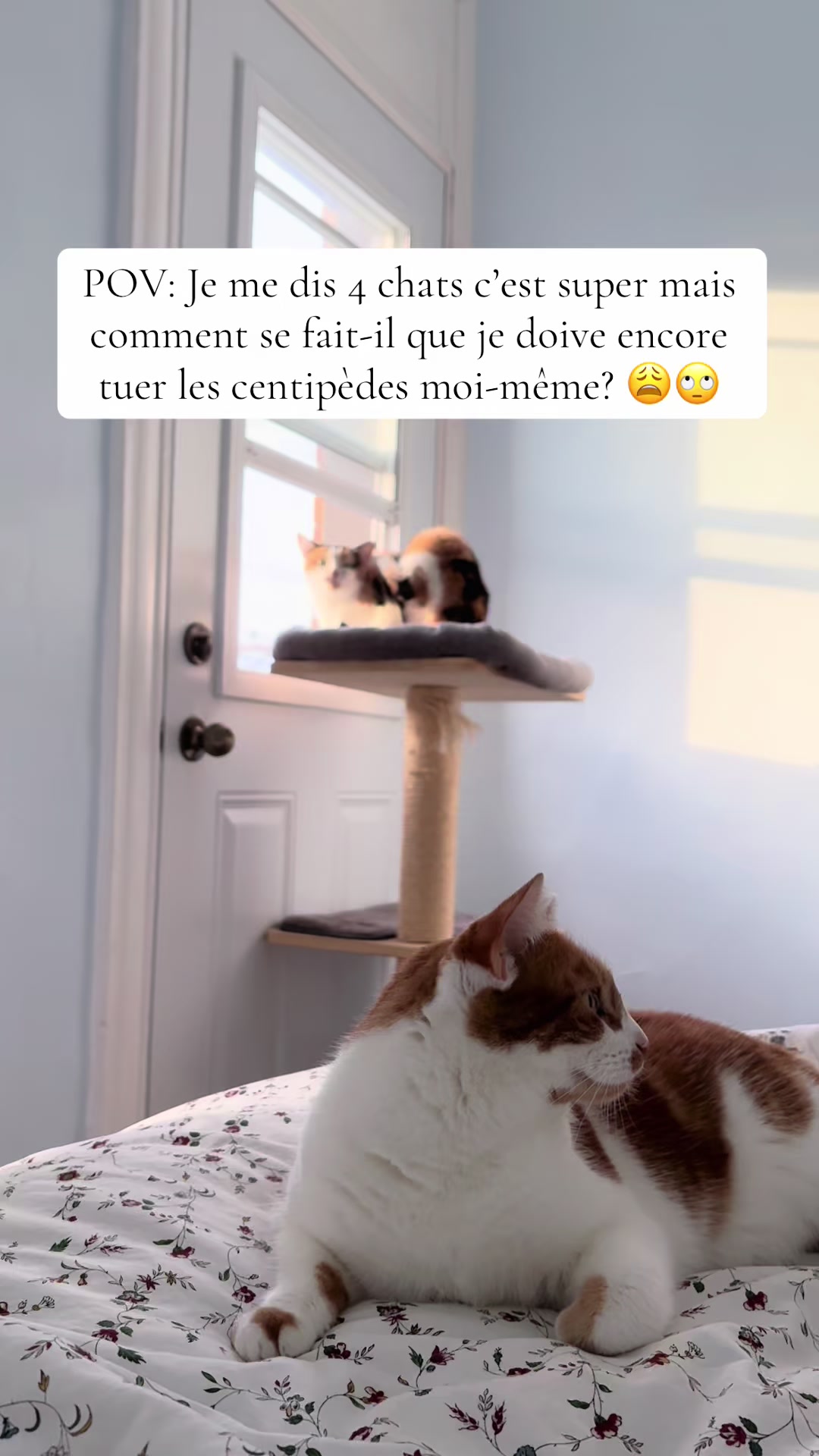 @Julie