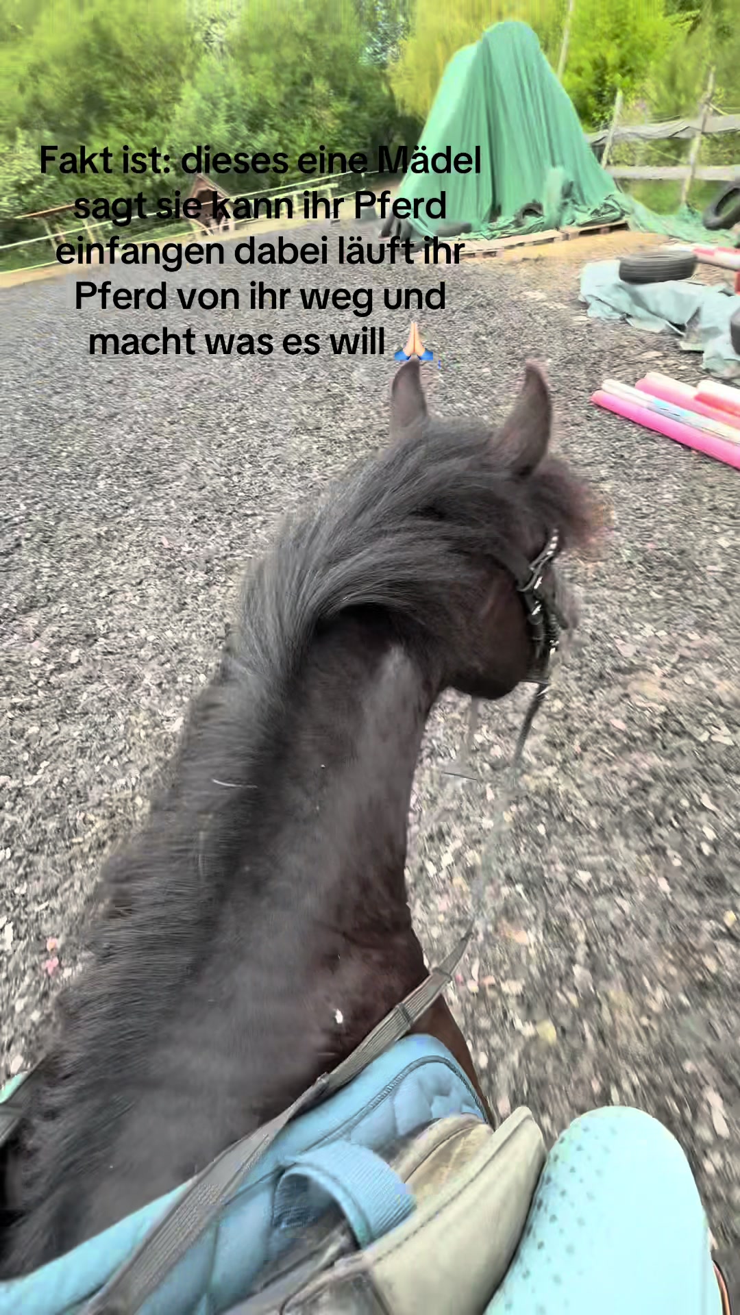 @herzenspferd_Lucie💞😝