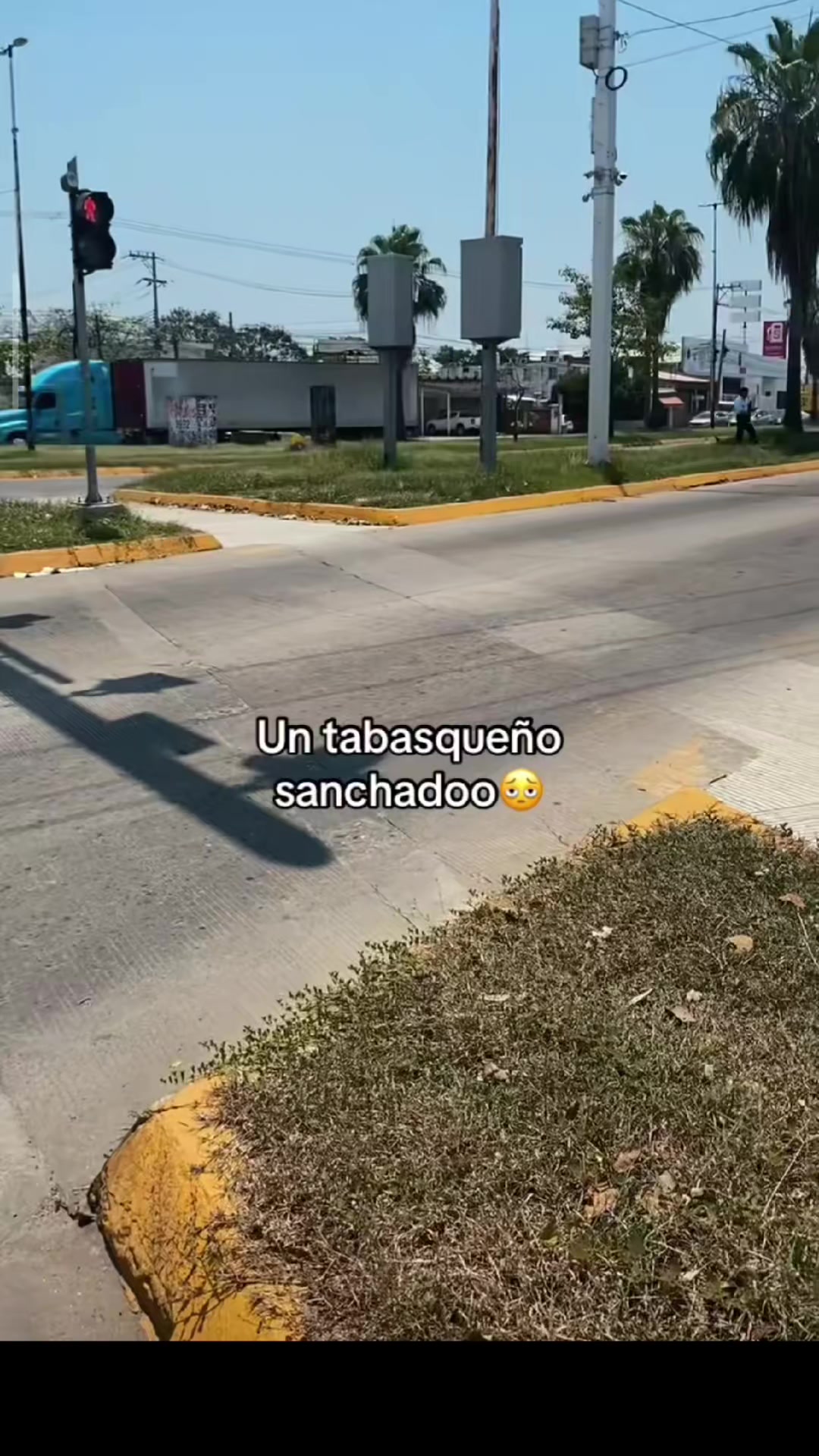 @mateoss 🇲🇽🪽💪🪽