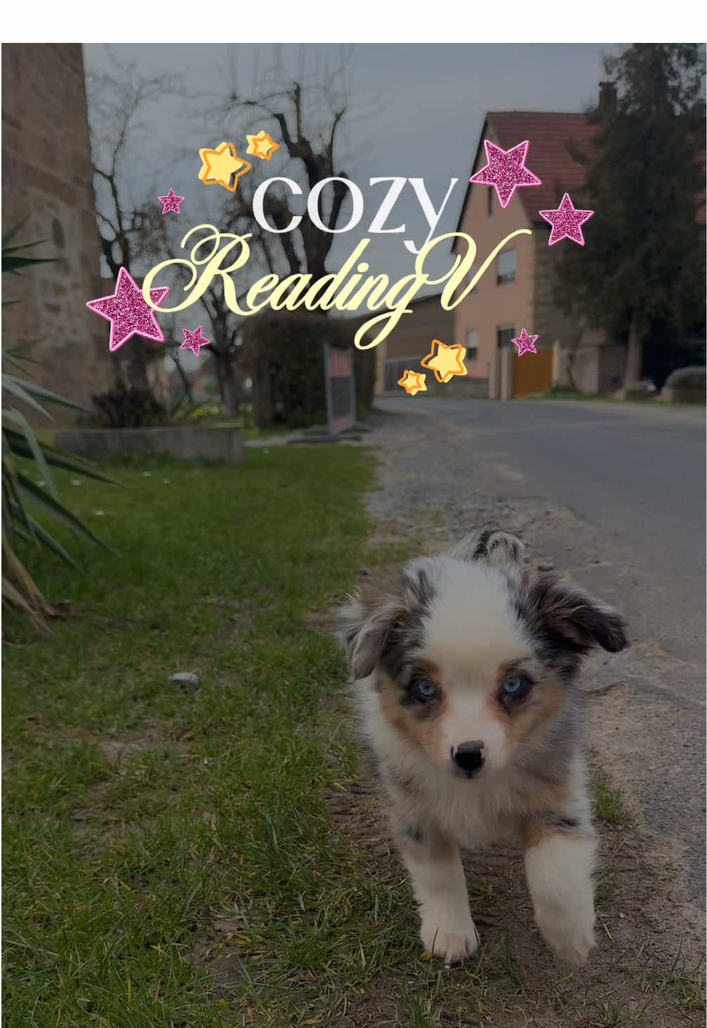 @tini🩷⭐️🧚🏼