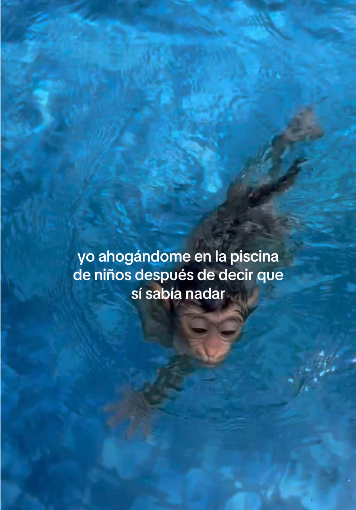 @daismined