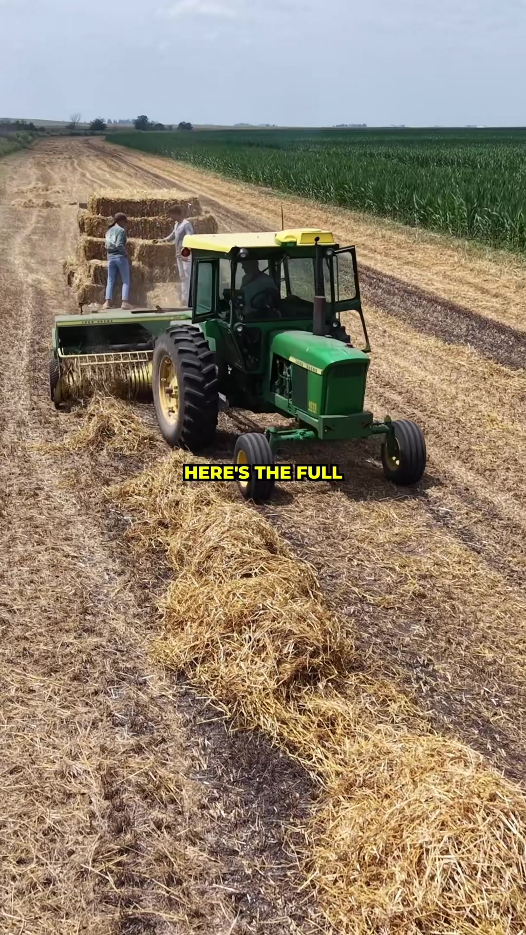 @Hilbert Farms
