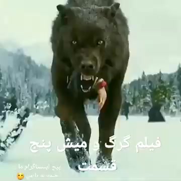 @shuaib mohammadi