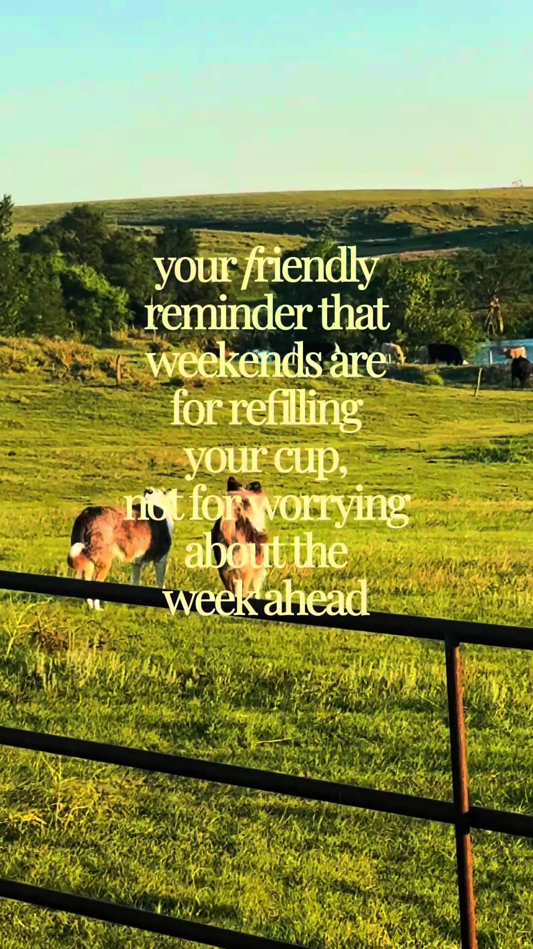 @momlifehacks