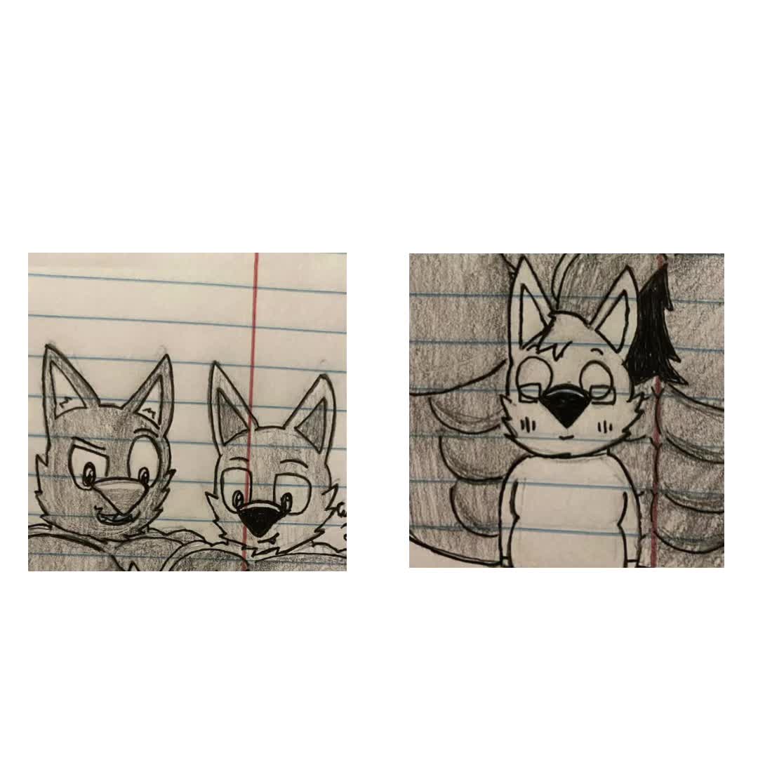 @TheToonyCat (Read Bio)