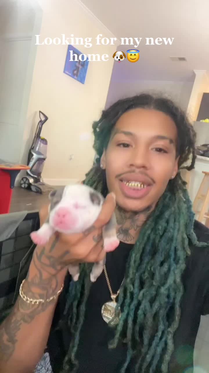 @GinoGTG