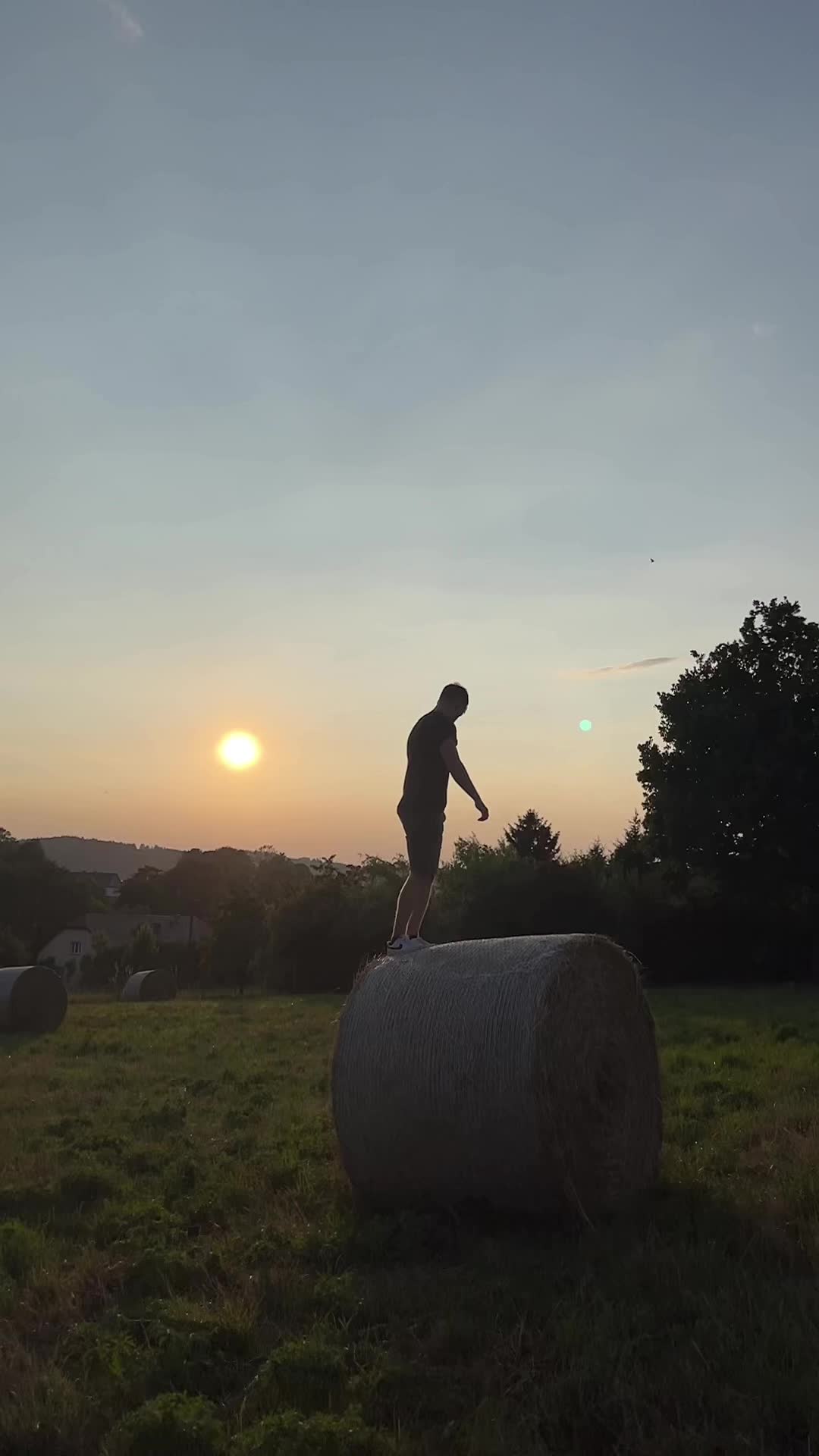 @Dejf