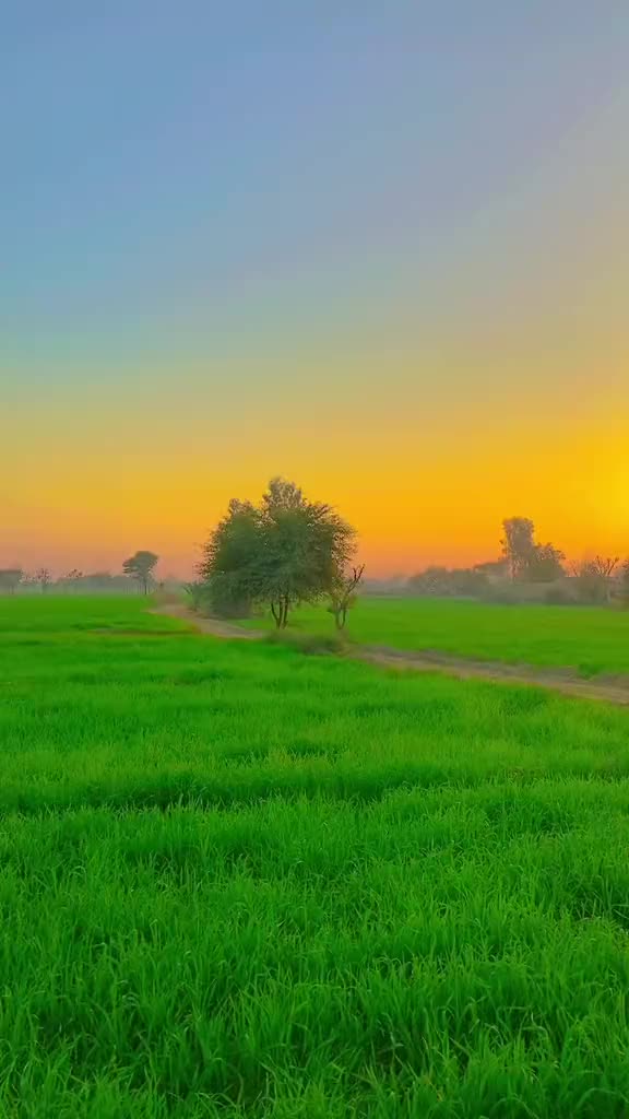 @Muhammad Shahid official