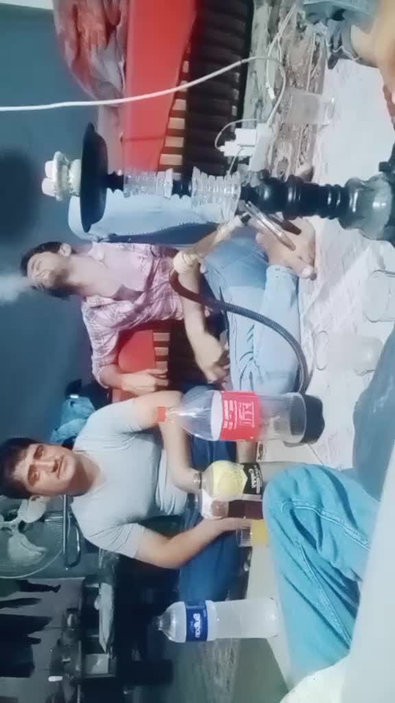 @gulfamdogar265