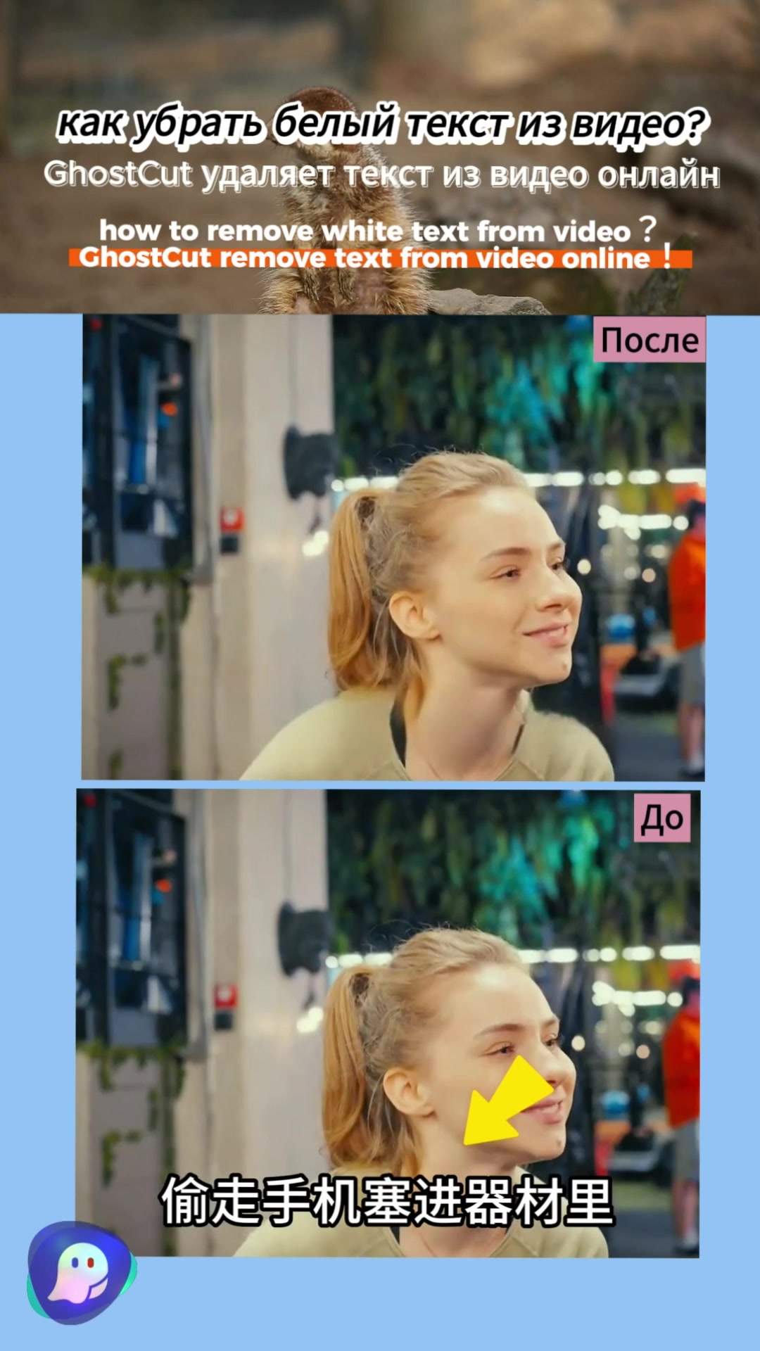 @videotranslation