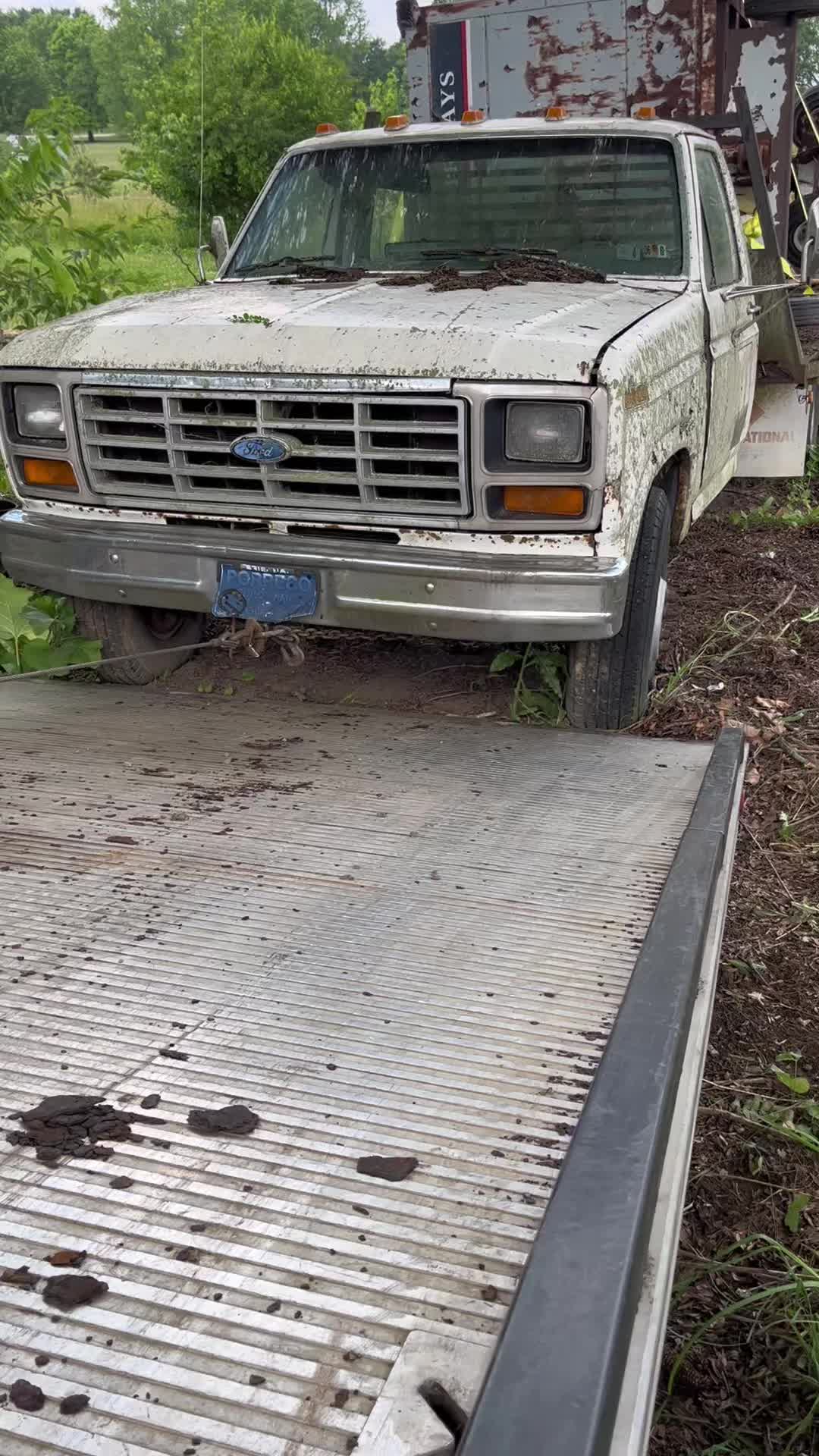 @junkcollector164