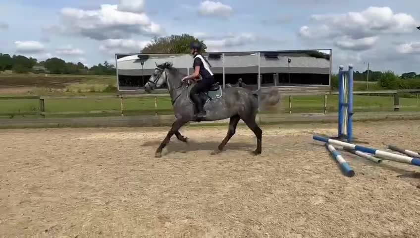 @Ruby🐴