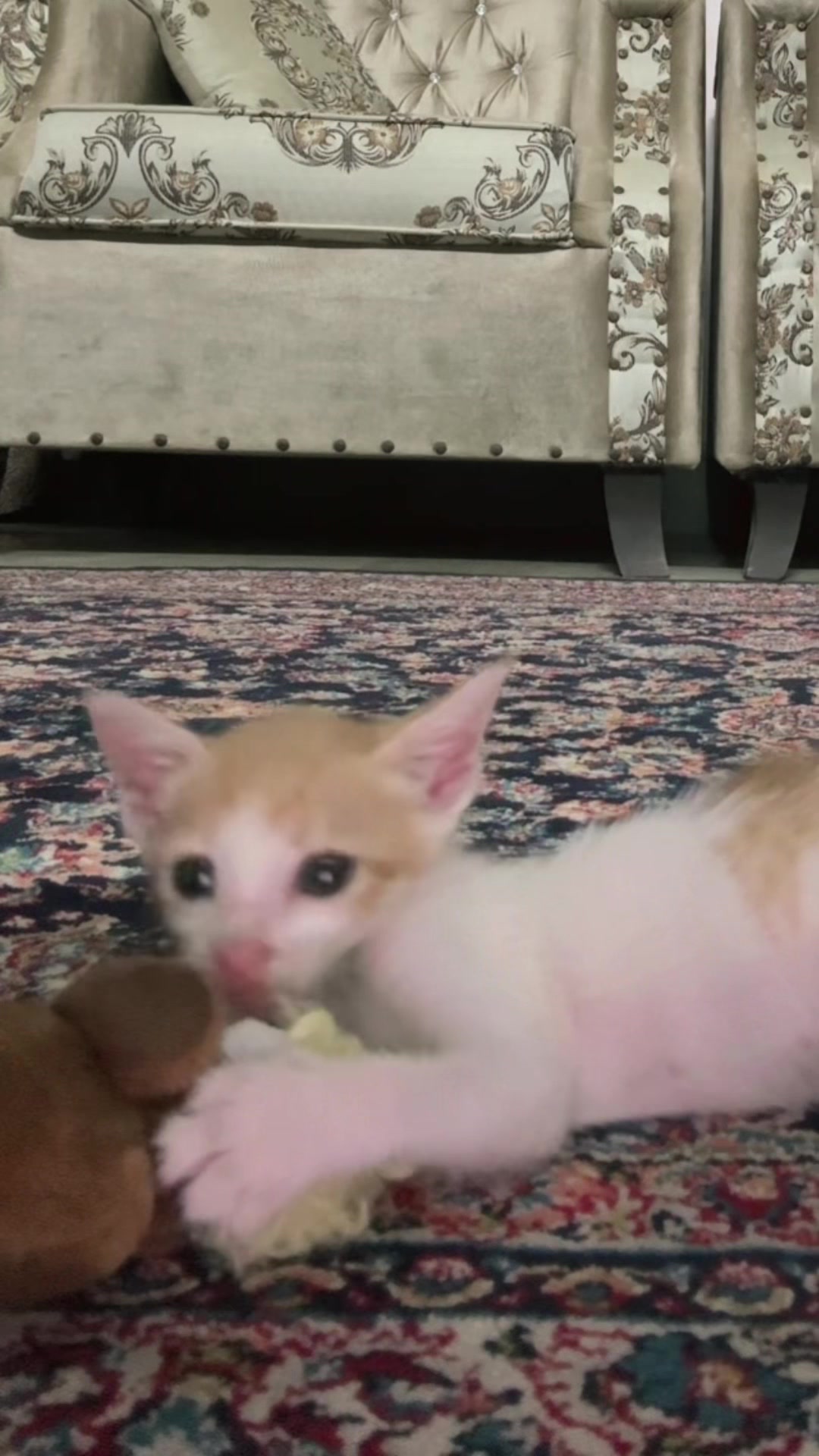 @Midhat Bmw