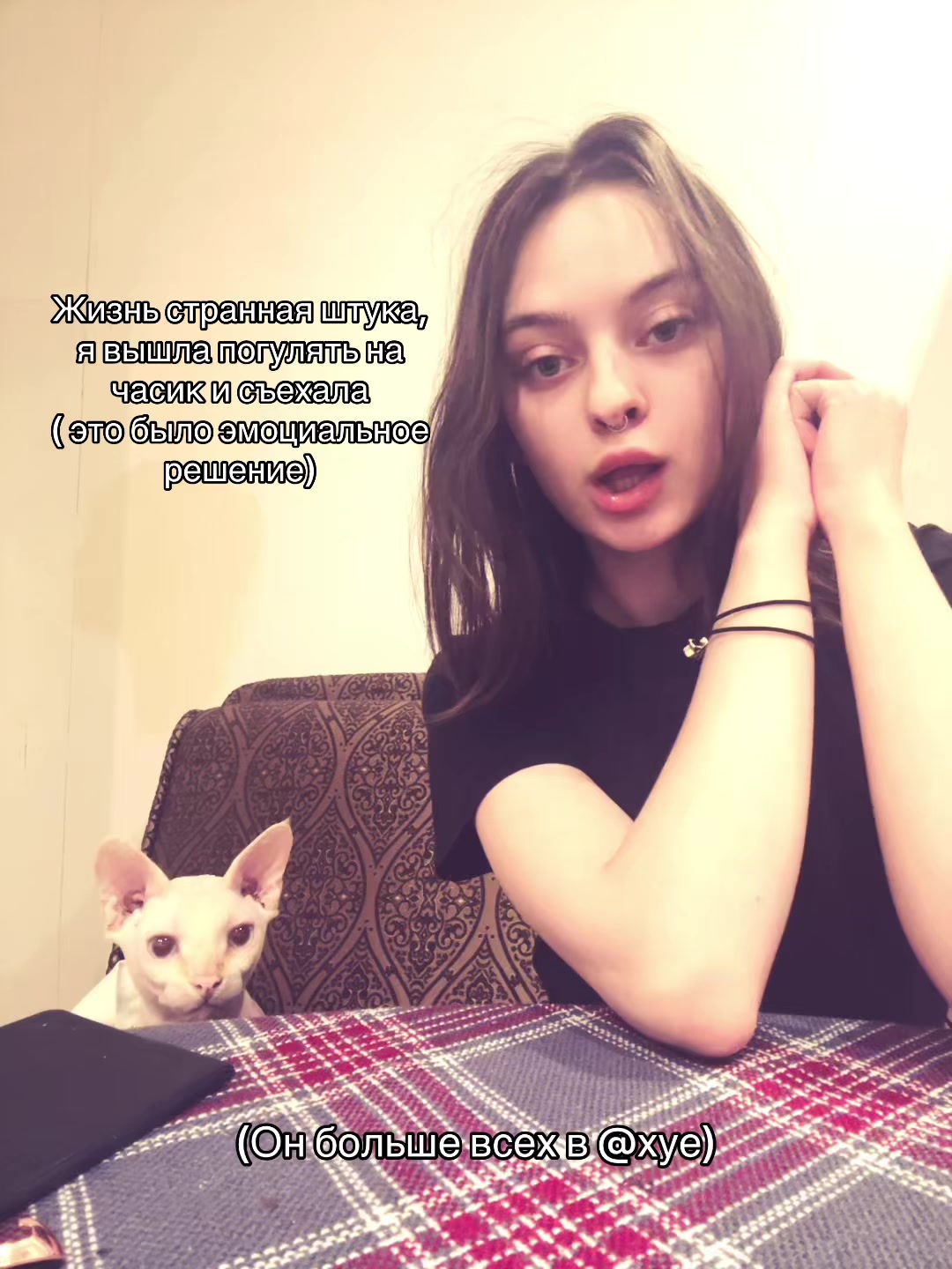 @alenenok_meow