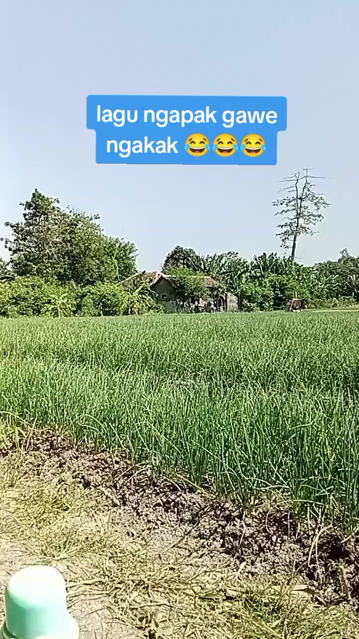 @Najwa syahidah