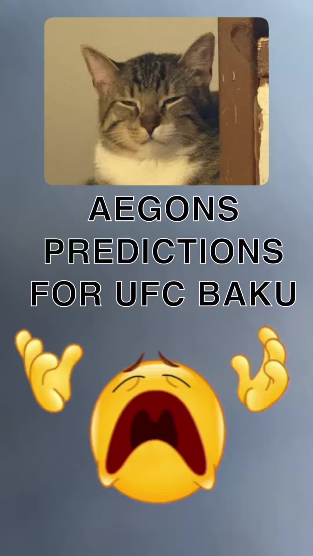 @Kitty Picks MMA