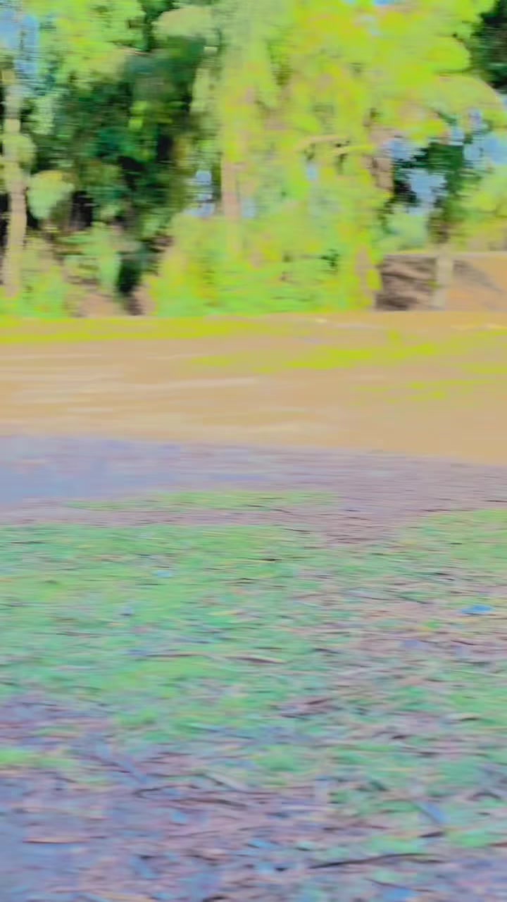 @ᴍᴀʟɪᴋ ꜱʜᴀʜᴢᴀᴅ •🪽