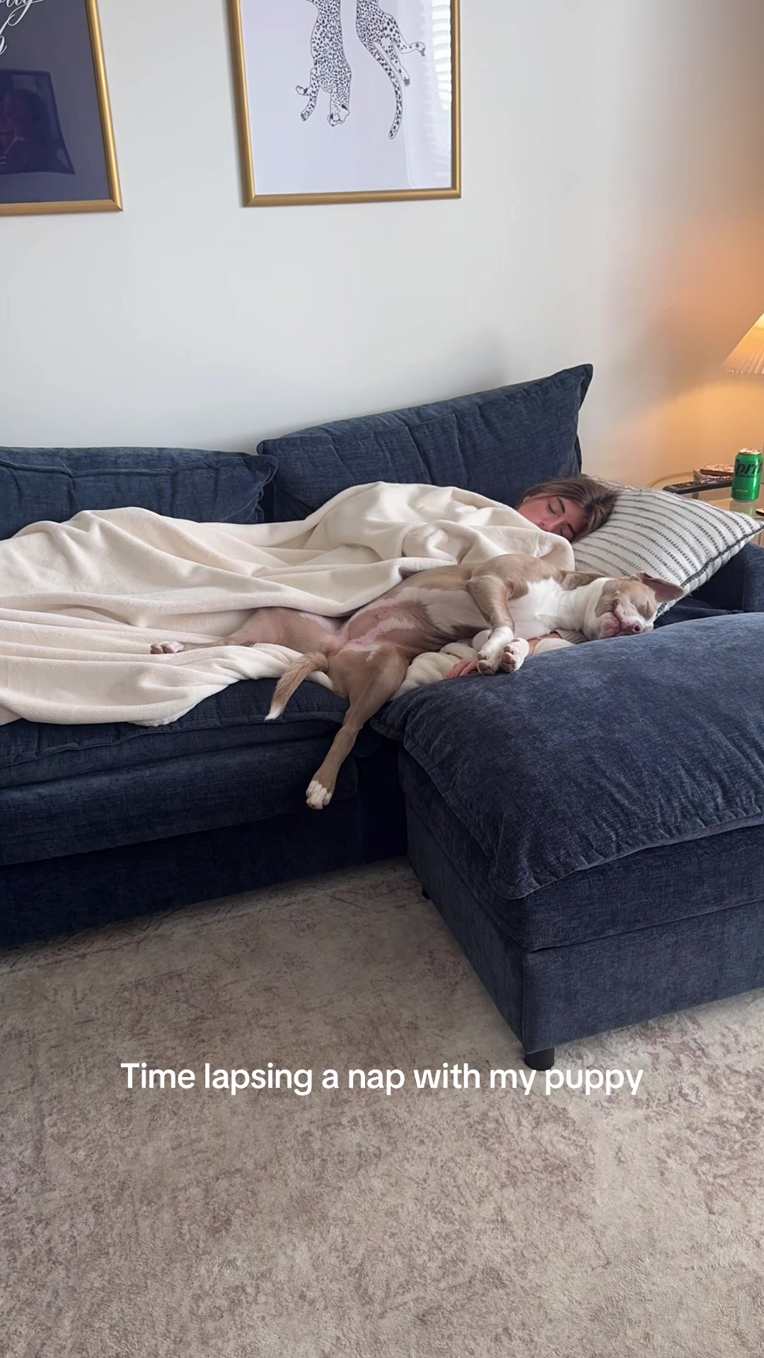 @Millie The Pitty