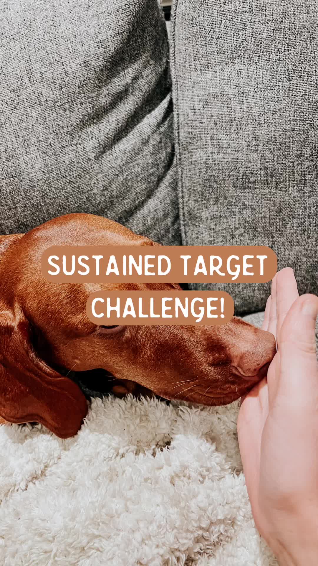 @junoandcocumbria