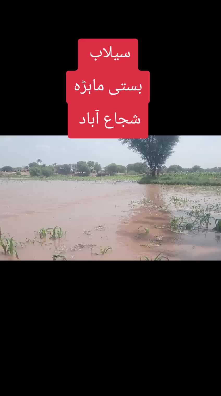 @Syed Abbas Raza