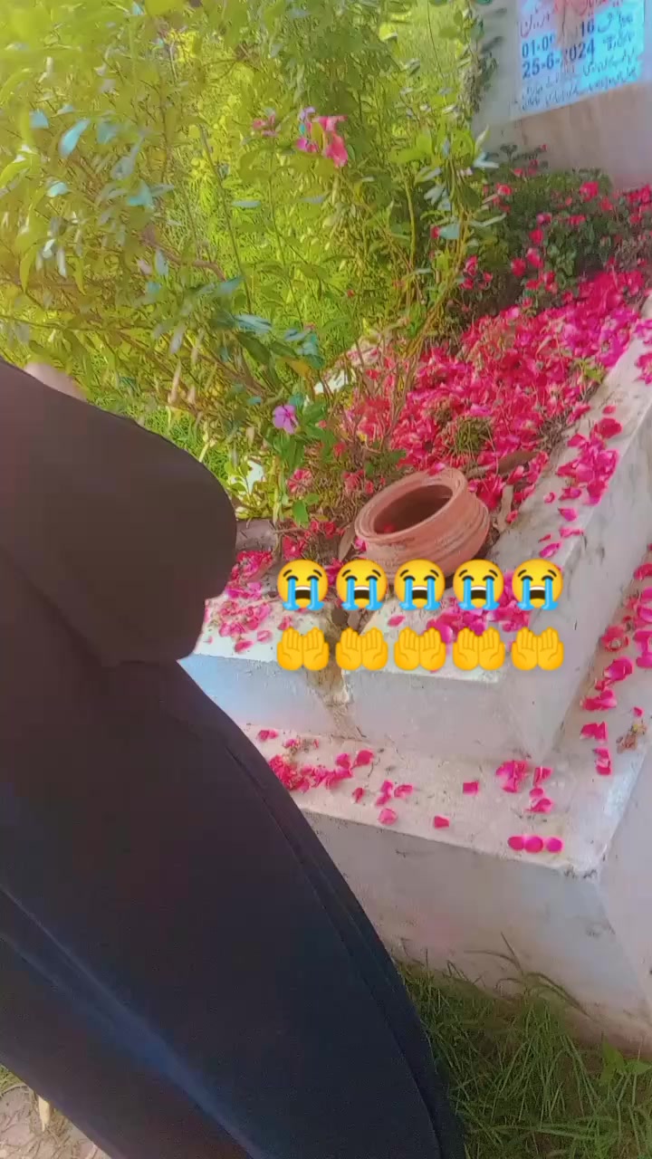 @Mohammad ayaan🌹❤️