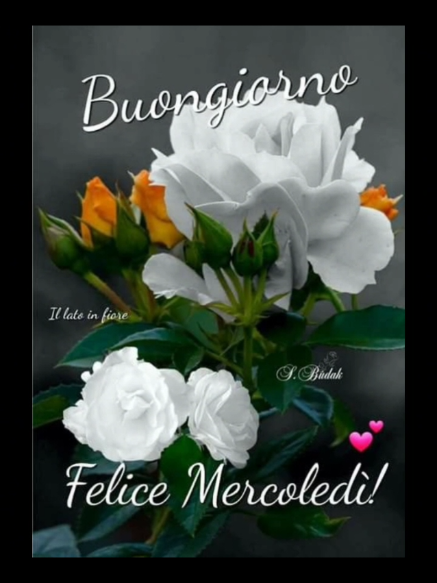 @RENATO c