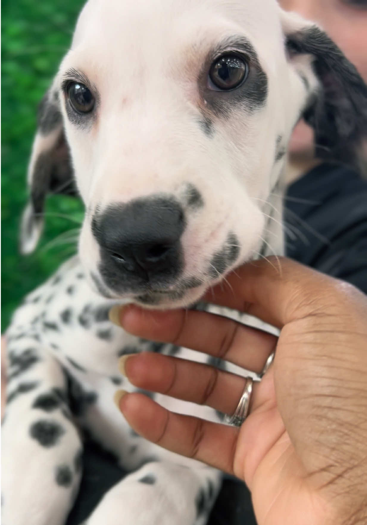 @Petland Oklahoma City