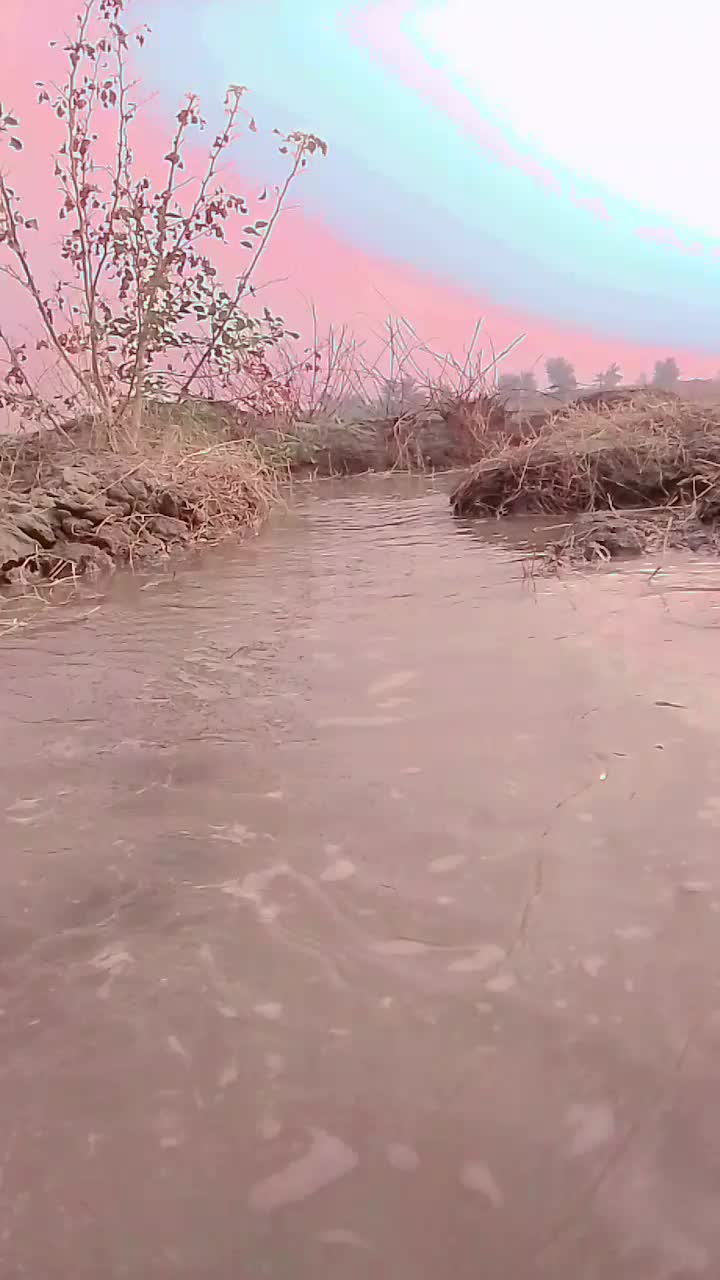 @سانول شہزاد