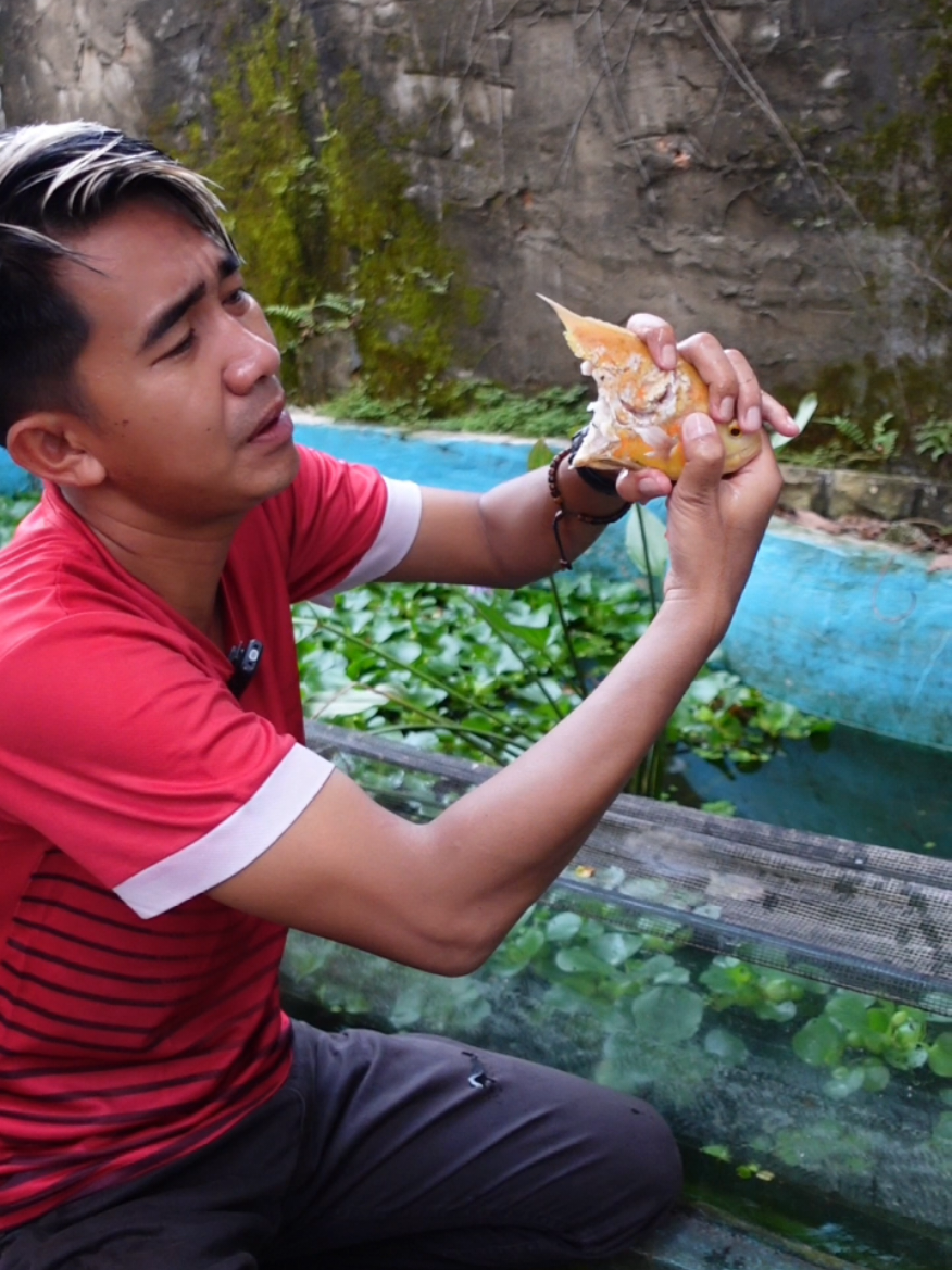 @imam noer