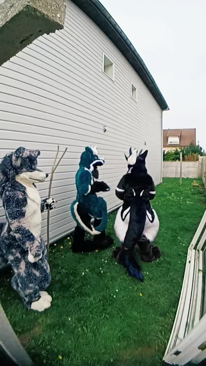 @KITJUNE