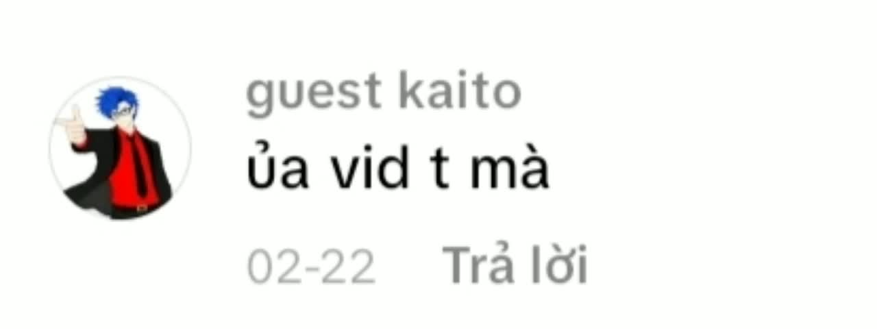 @guest kaito