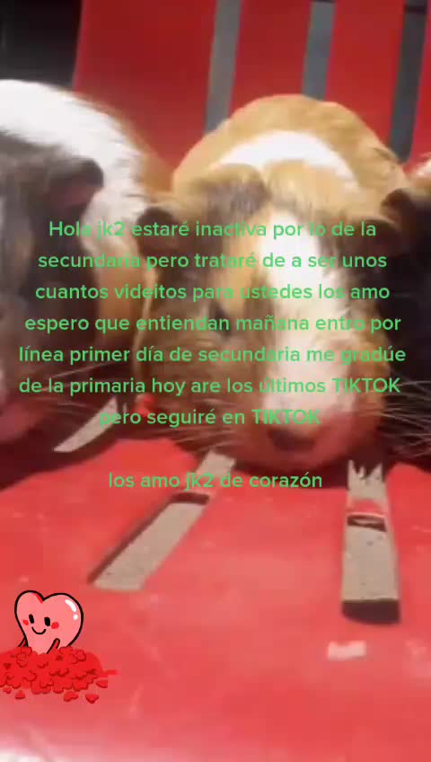 @Marisol Radilla