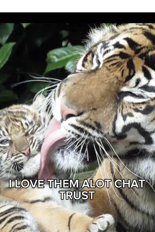 @ASHH (Sol’s version)