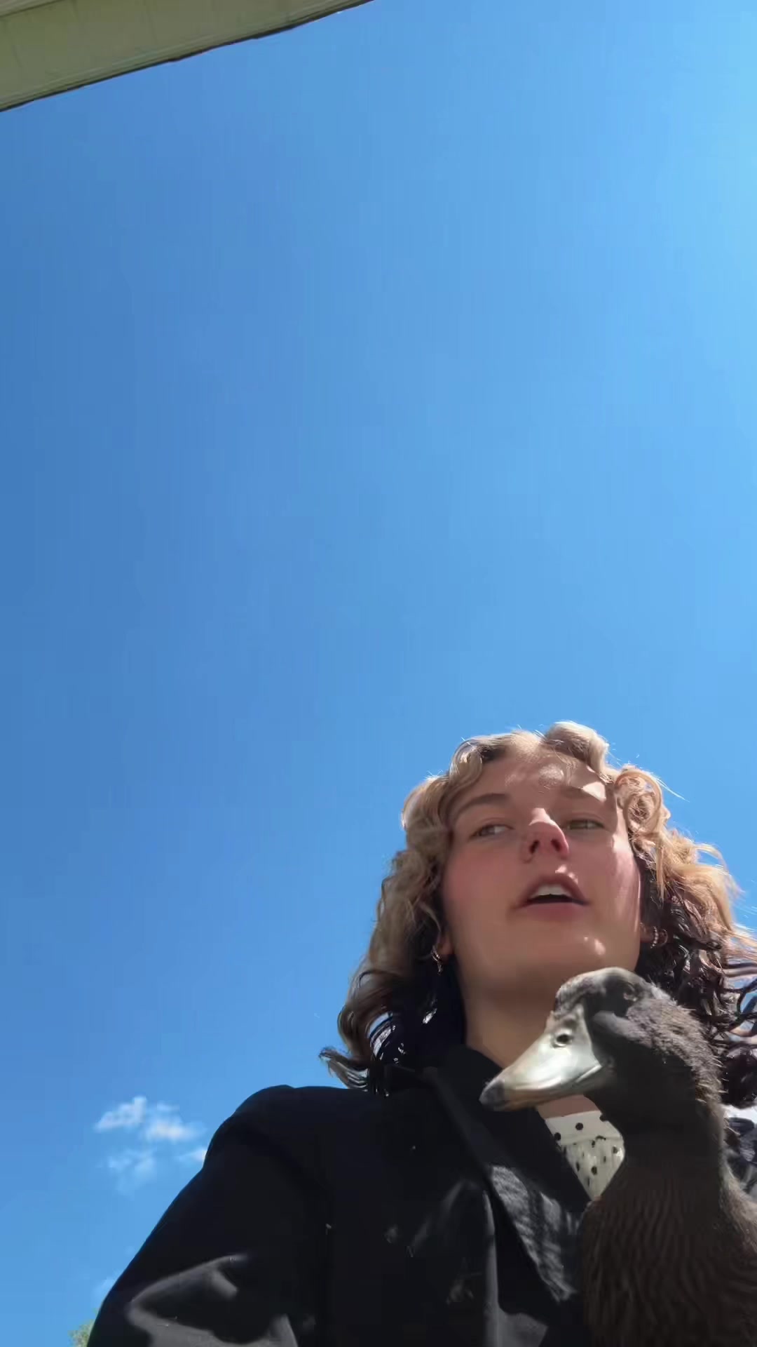 @Grubbster⚡️🌾🤎