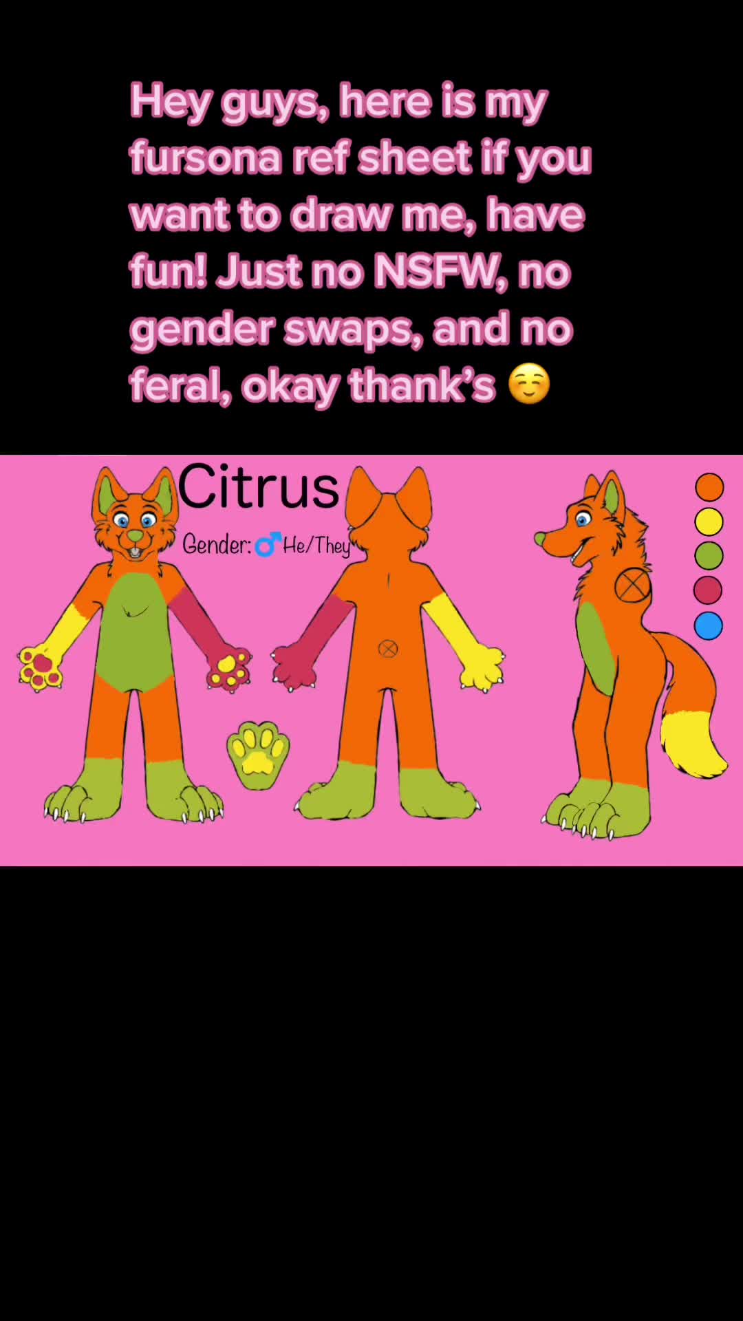 @🍉🍊Citrus the fox🍊🍉