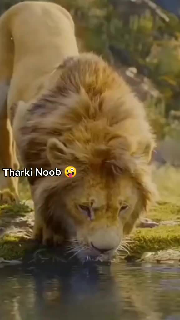 @kamimaluk7779