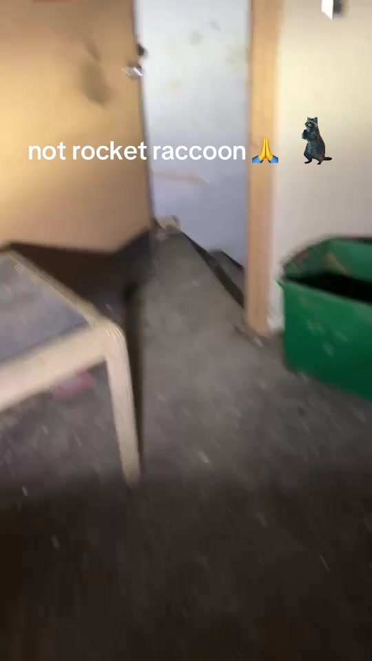 @hobobeater366