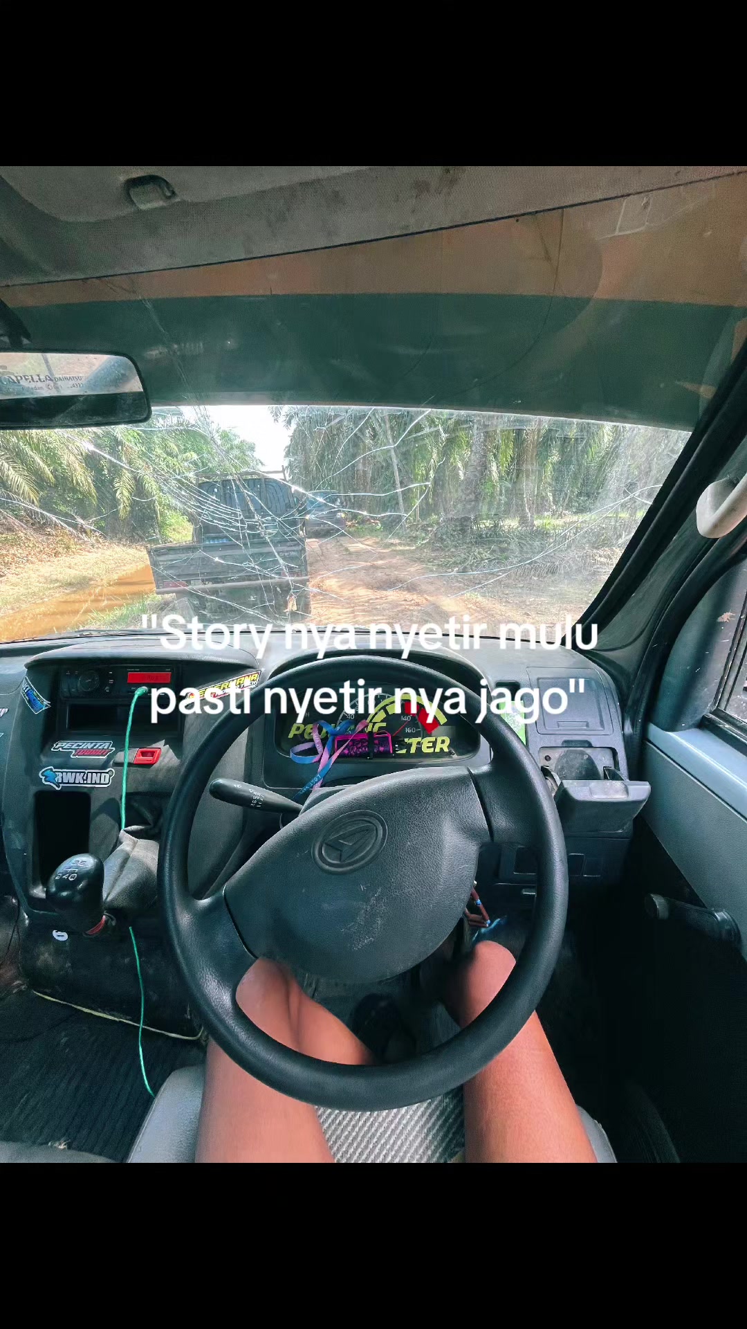 @Penguja🐊
