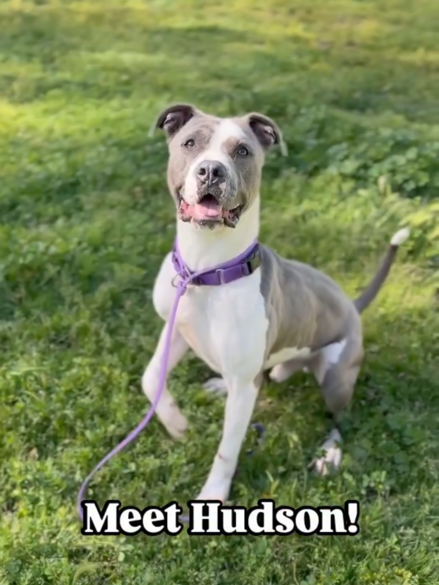 @Oakland Animal Services