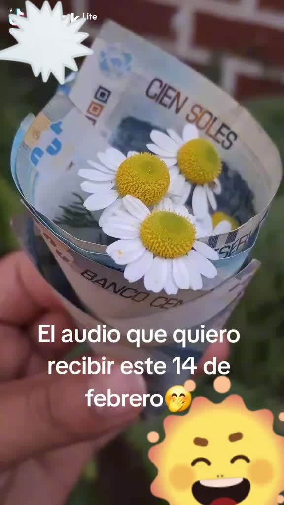 @laura C.Q