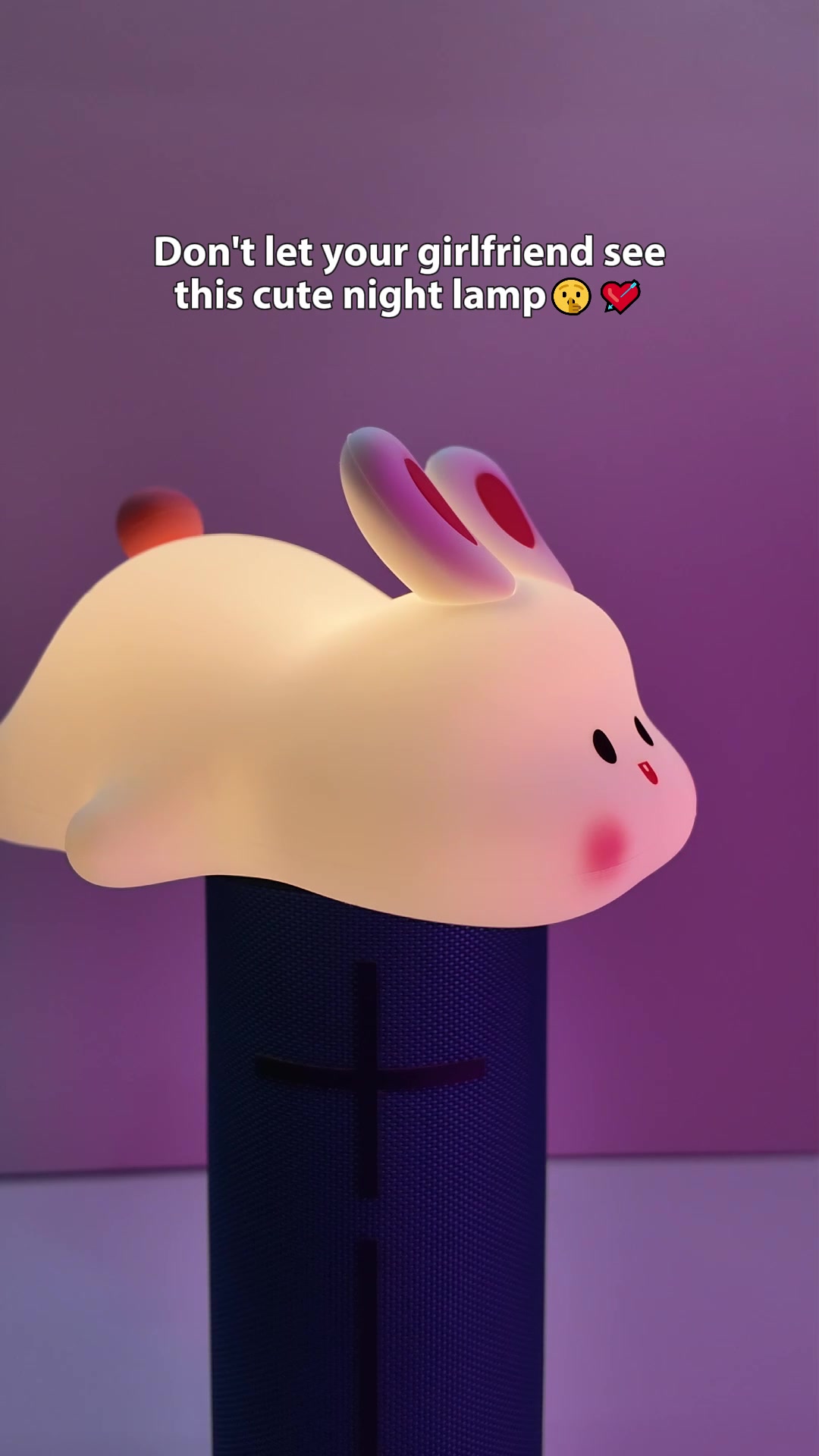 @BunnyLightCo.