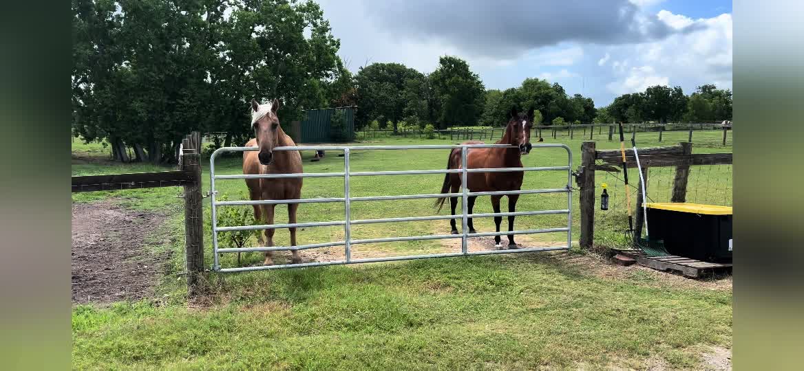 @CowboyBob_Horsemanship
