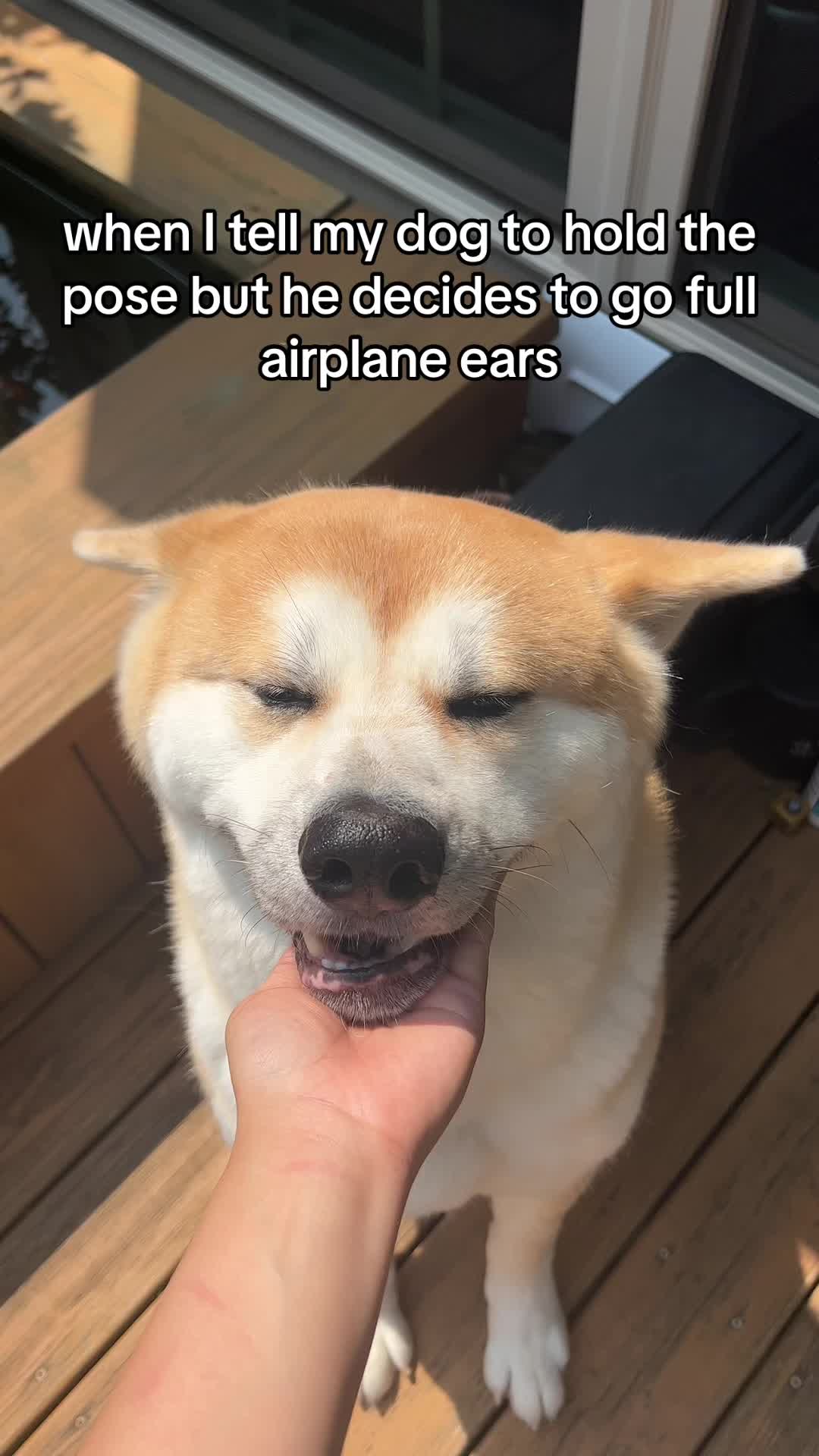 @Yuki